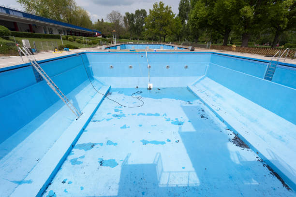 Best Professional water damage repair  in Bradley, WV
