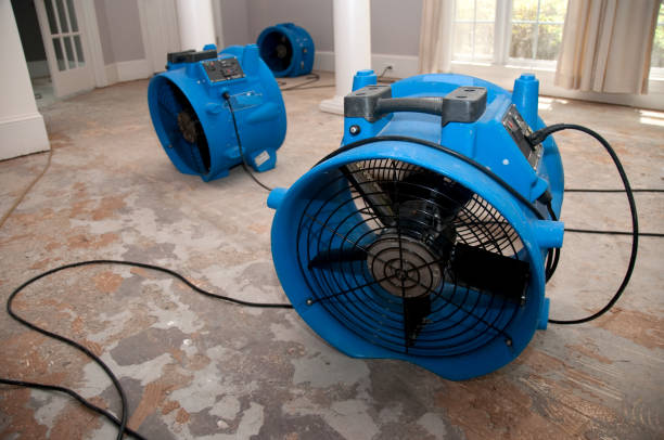 Best Local water damage restoration  in Bradley, WV
