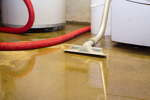 Best Commercial water damage restoration  in Bradley, WV