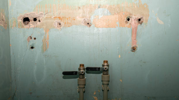Best Water damage cleanup near me  in Bradley, WV