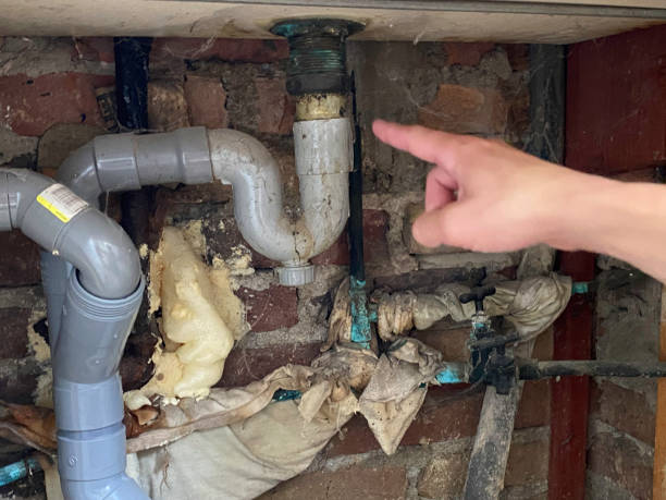 Best Mold removal after water damage  in Bradley, WV
