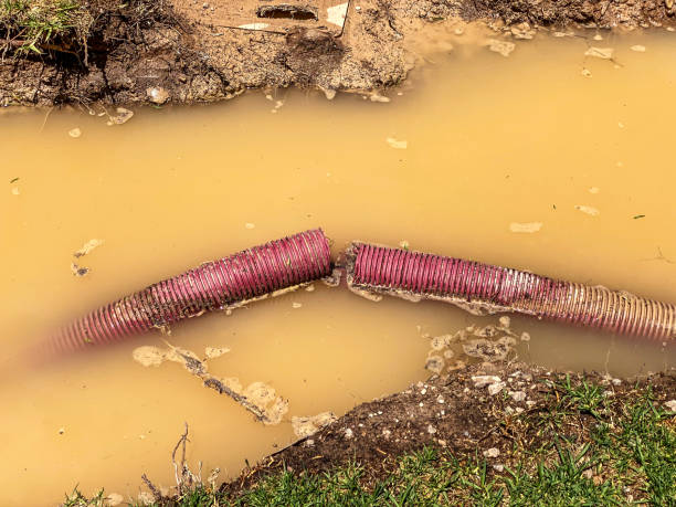 Best Water damage cleanup near me  in Bradley, WV