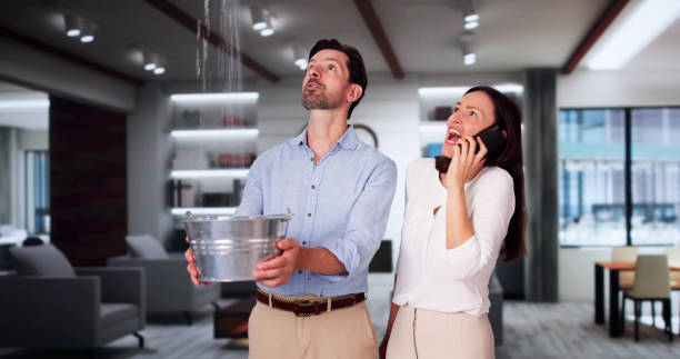Best Fire Damage Restoration  in Bradley, WV